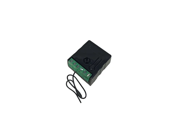 Receptor REC-1